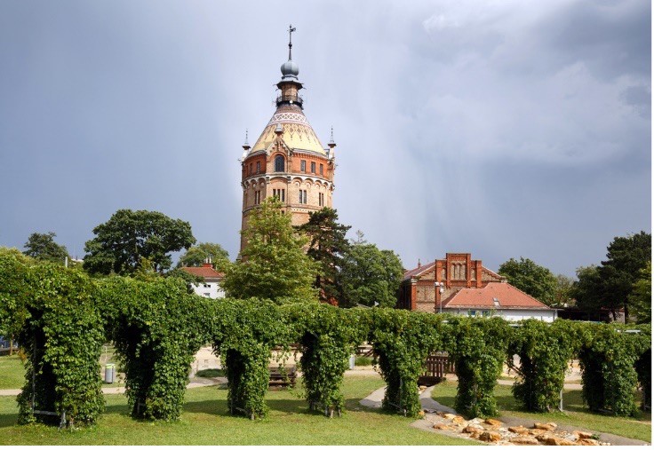 cista viedenska voda